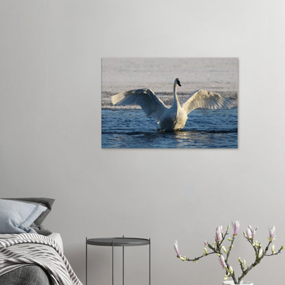 38ed0539-f407-4928-9aa4-b1ababd4d3d6