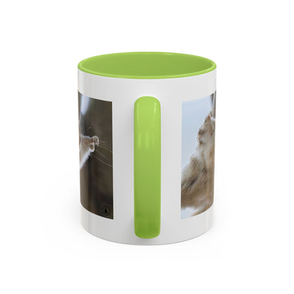 Flying Squirrel Accent Coffee Mug — Cute Wildlife Photo Mug (11/15oz)