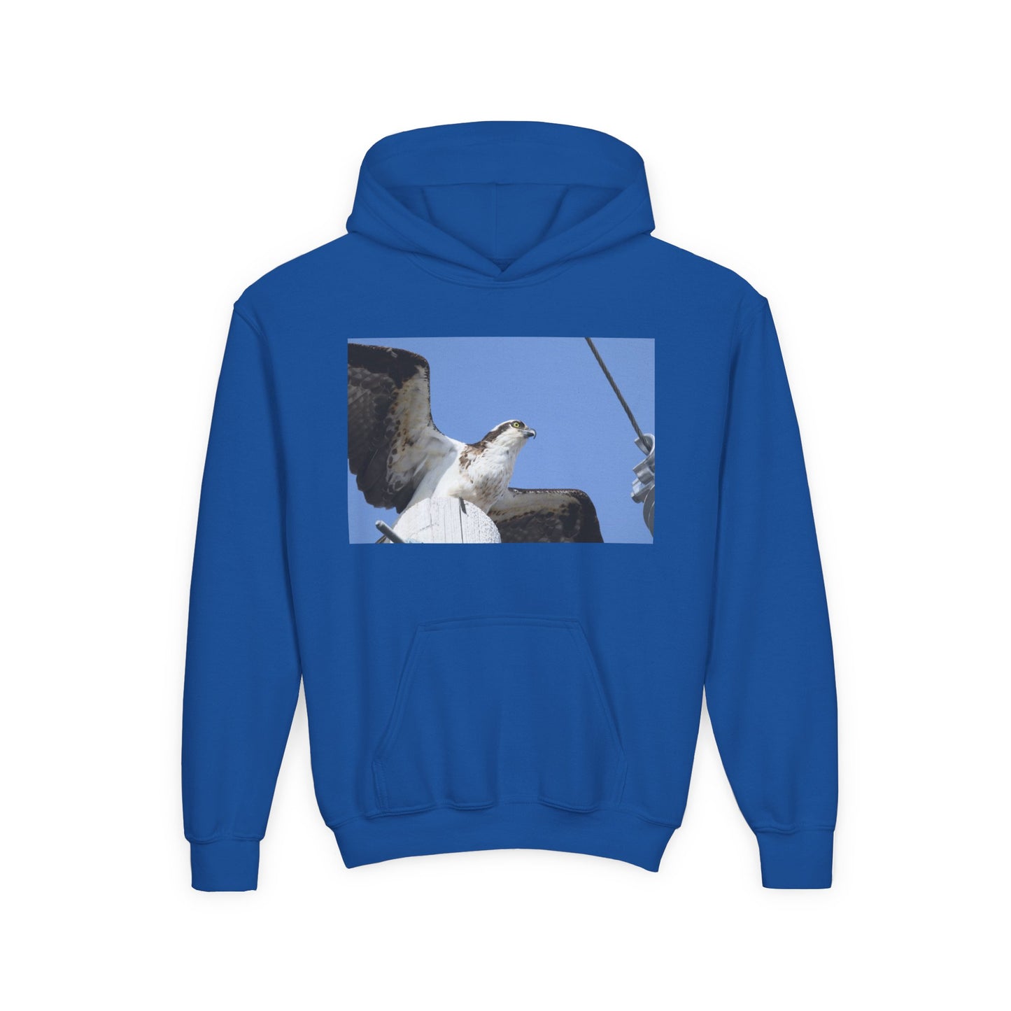 Youth Osprey Photo Hoodie — Kids Birdwatching Nature Pullover
