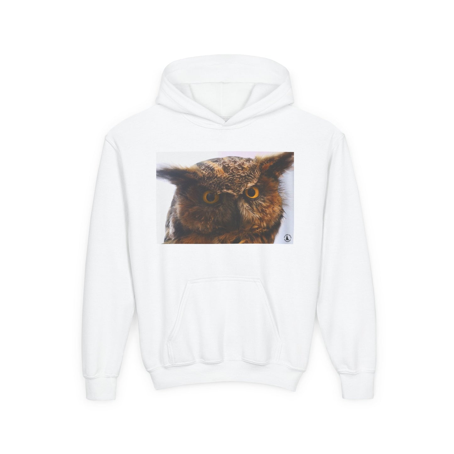 Youth Hoodie with Realistic Owl Art — Cute Kids Animal Pullover