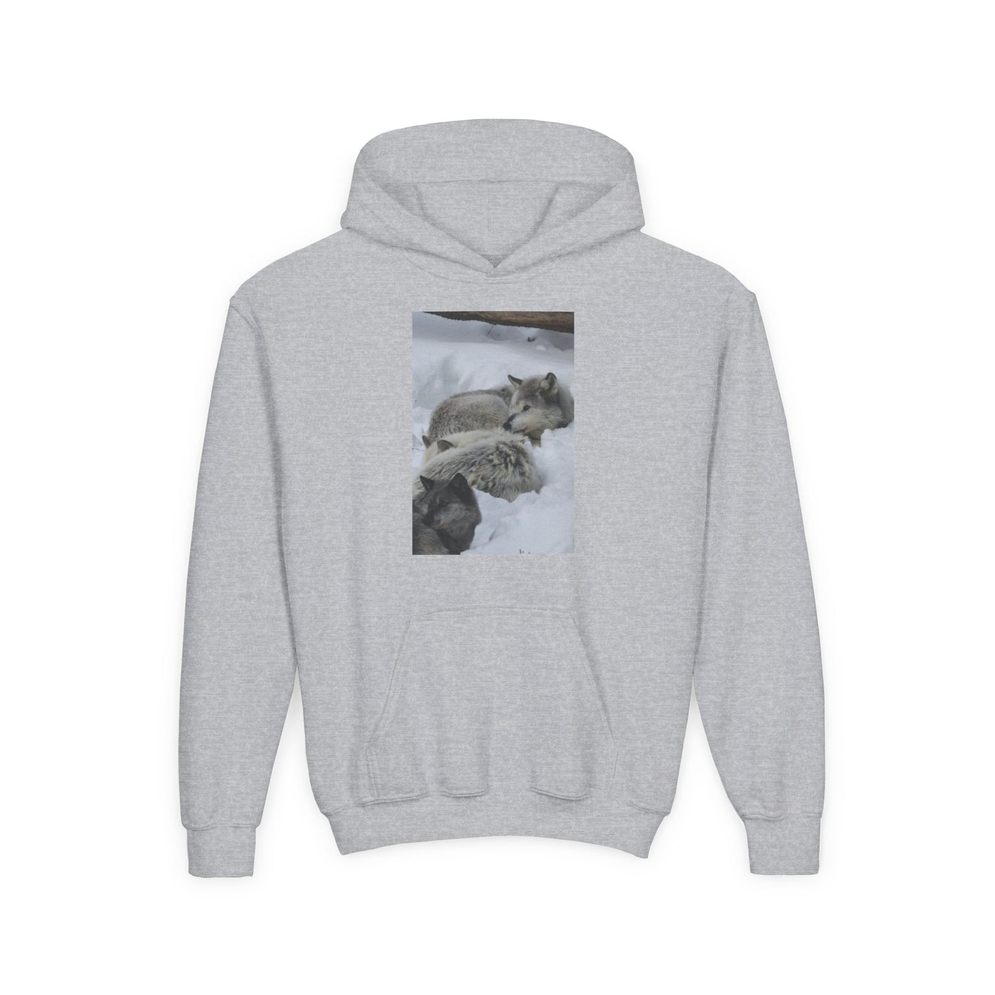 Sleeping Foxes Youth Hoodie | Wildlife Photography, Snow Scene