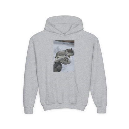 Sleeping Foxes Youth Hoodie | Wildlife Photography, Snow Scene