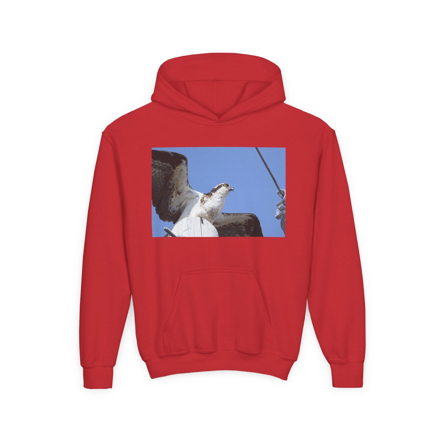Youth Osprey Photo Hoodie — Kids Birdwatching Nature Pullover