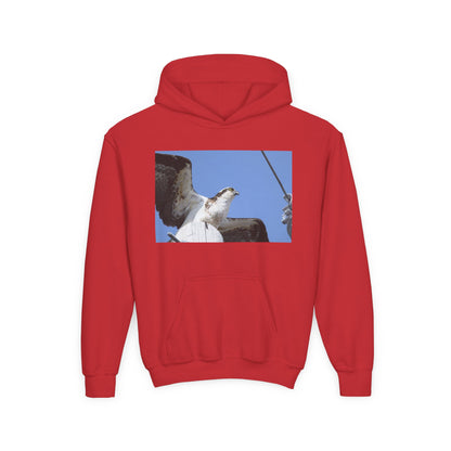 Youth Osprey Photo Hoodie — Kids Birdwatching Nature Pullover