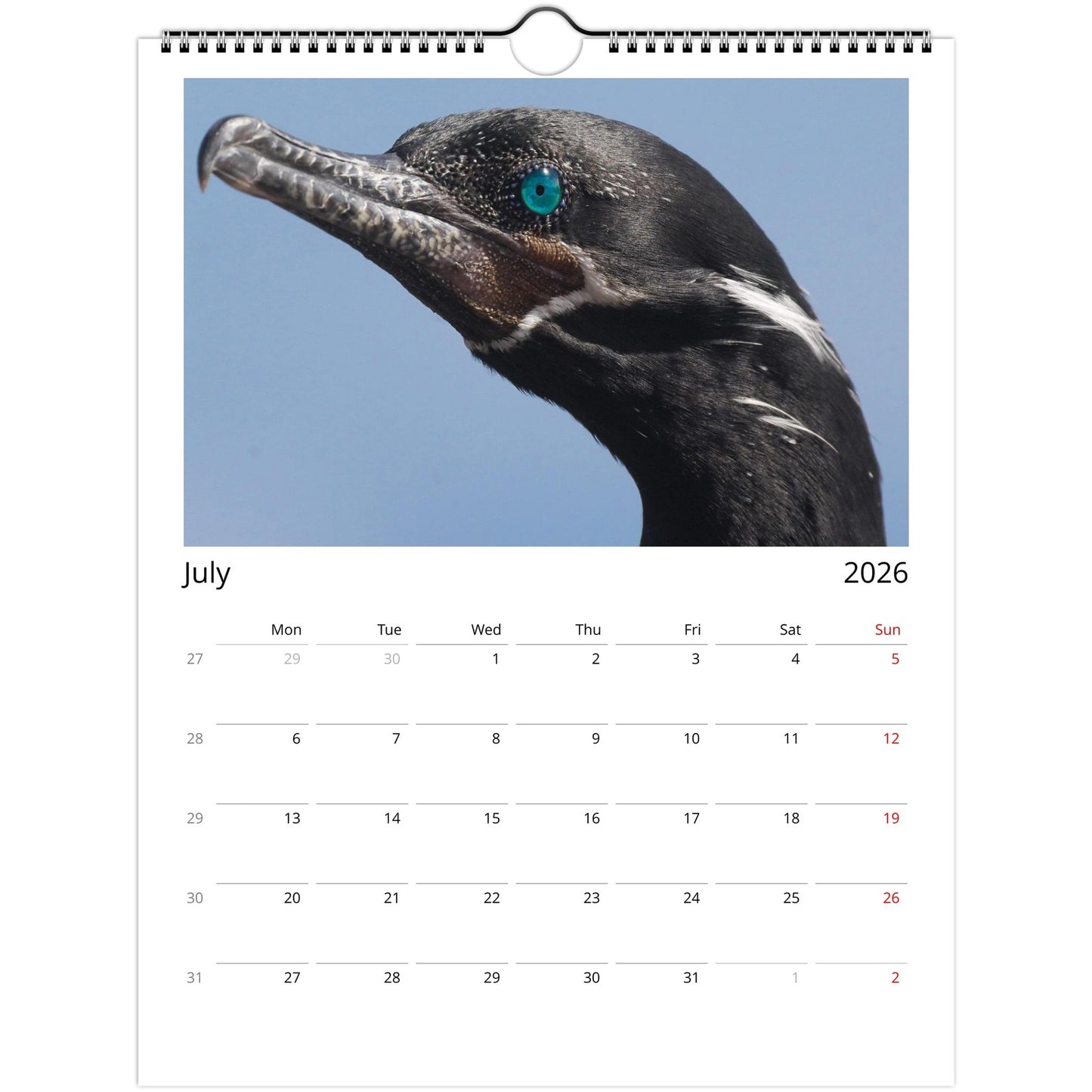 399528eb-81c6-4d73-89a4-892a6f2bc534