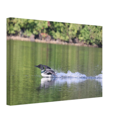 3a5f8a33-dda3-4af5-8255-a63db85bec7e