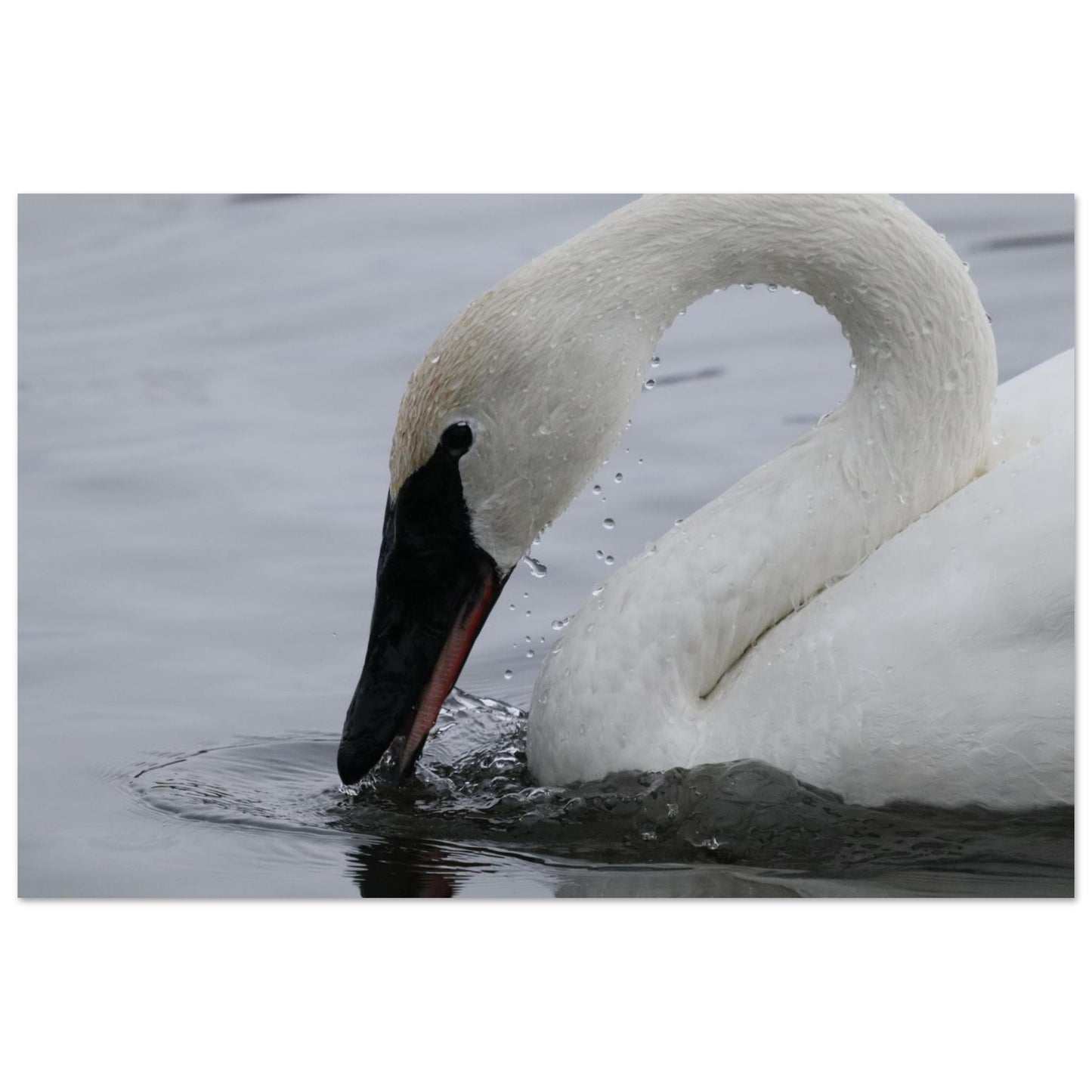 3ab84b00-3b6c-4eef-8f8f-7e69ff687baa