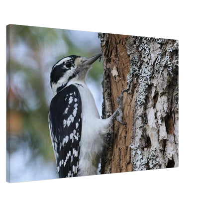 3ac55b0f-9231-402e-ae01-e83558bc6fdc