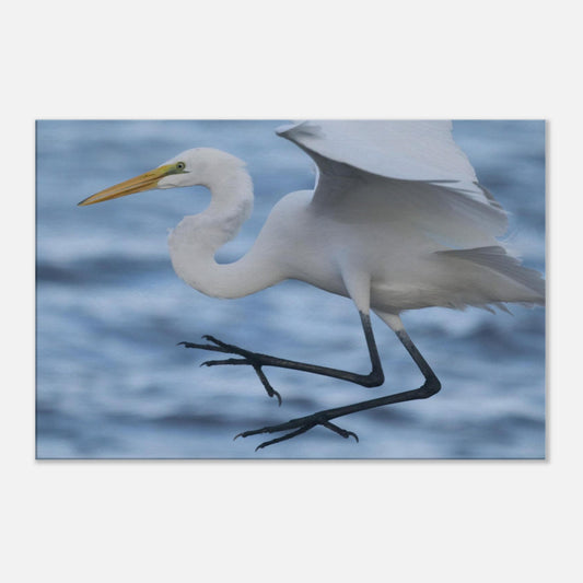 3b202a70-af80-4529-8047-16d9bd7e1d1e