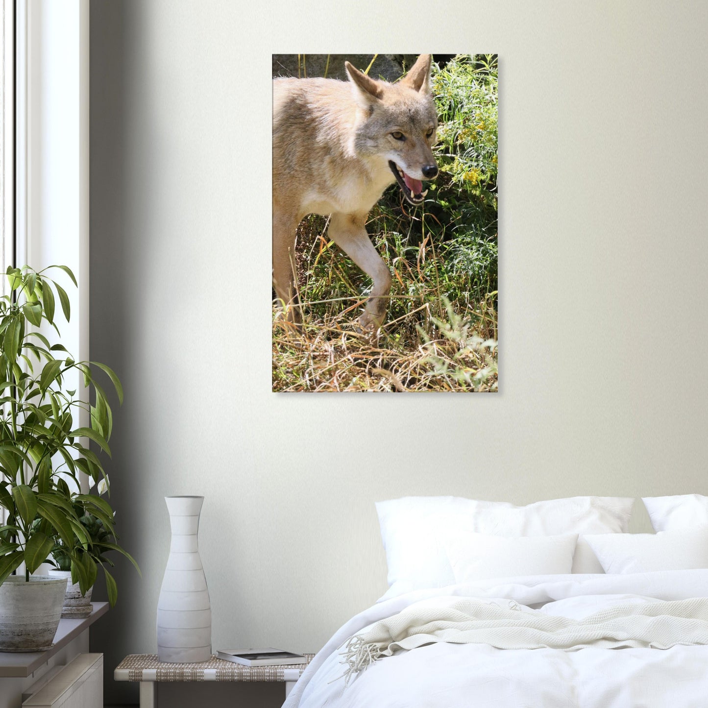 3b48b024-51b9-49db-9de7-952ddccf9ca6