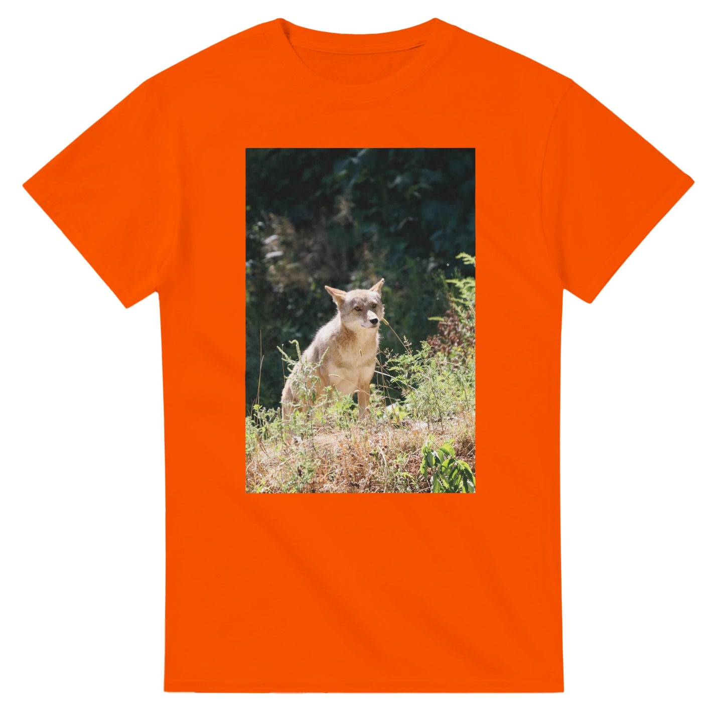 3bacb6b1-0e87-4223-b36d-2a20edbe7601