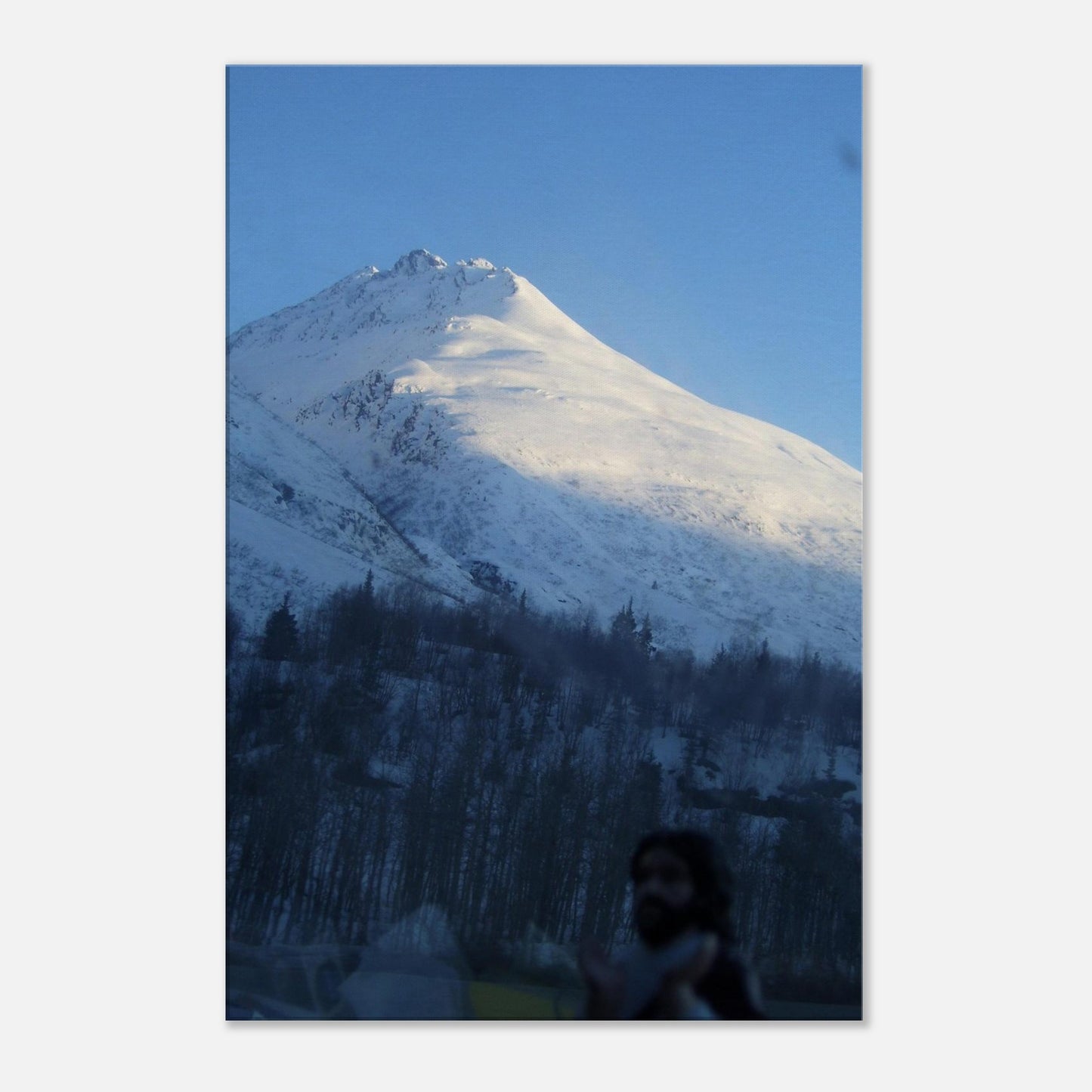 3bbaed85-0606-4102-aa19-7ccb5798aa27