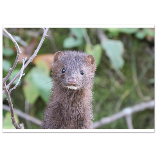 3c44897c-a4e7-41f0-a582-51d1c65afe4b