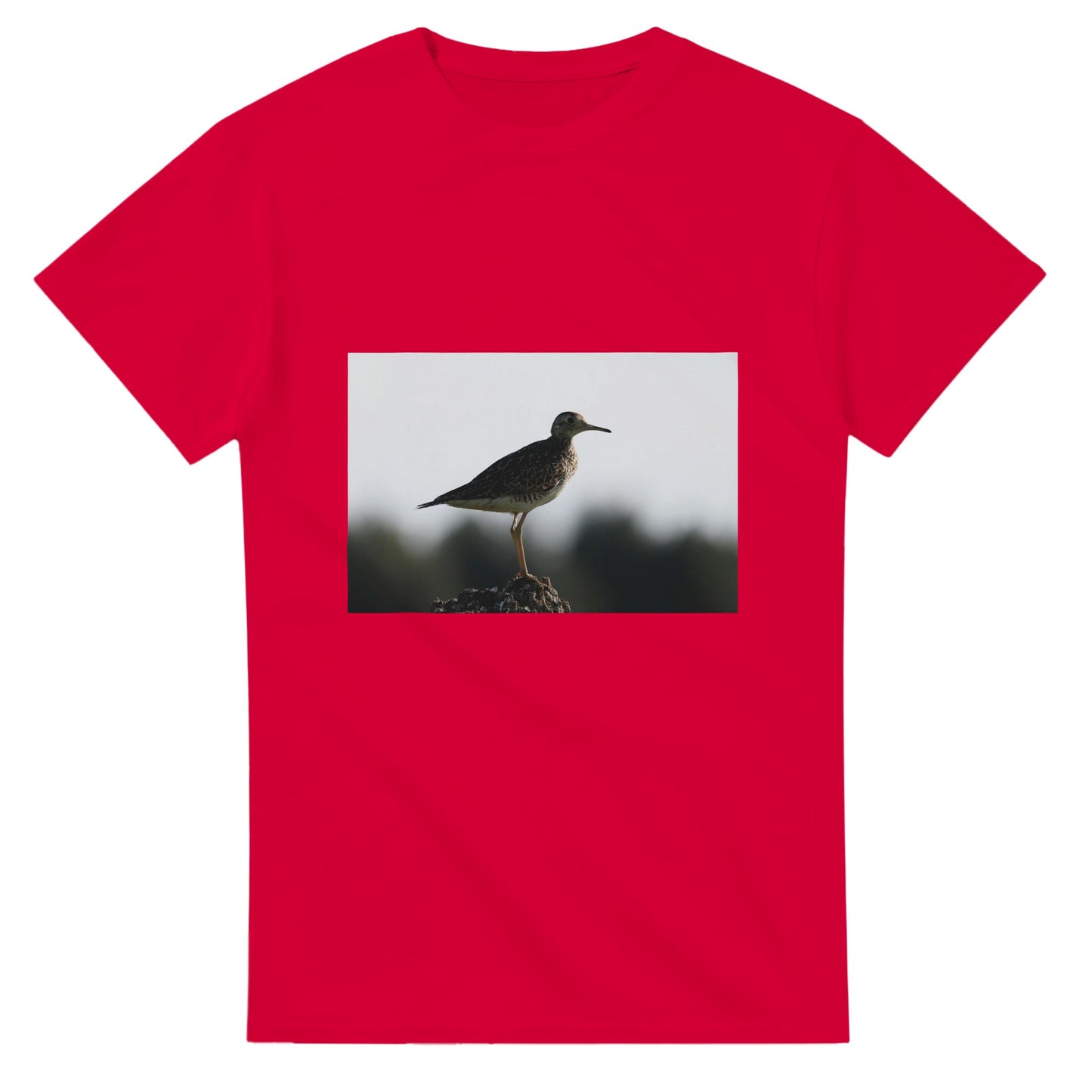 3c451c92-9af7-4362-8d6c-3b1088bf6246