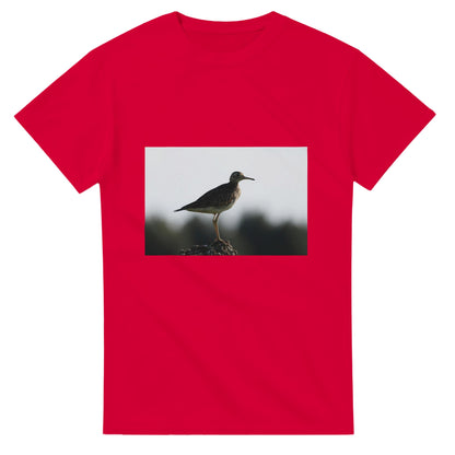 3c451c92-9af7-4362-8d6c-3b1088bf6246