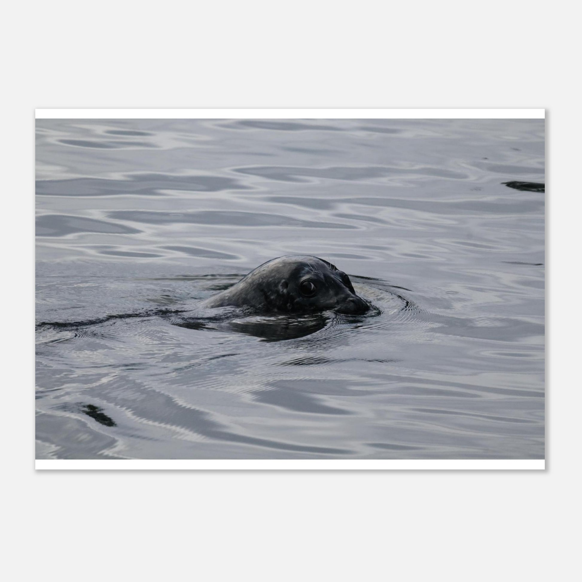 3c8d2740-e0a1-43f6-8cf9-b942a3d5ffd8