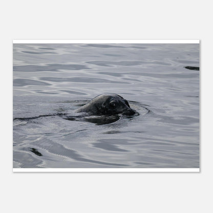 3c8d2740-e0a1-43f6-8cf9-b942a3d5ffd8