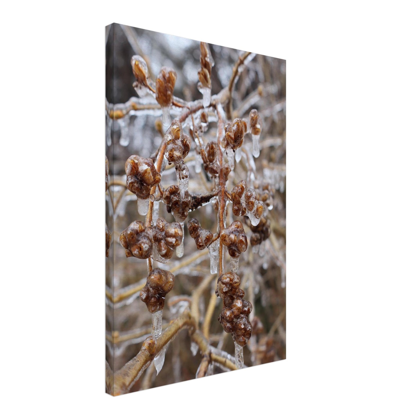 3cda3718-9883-4b4d-b120-370f5539fb71