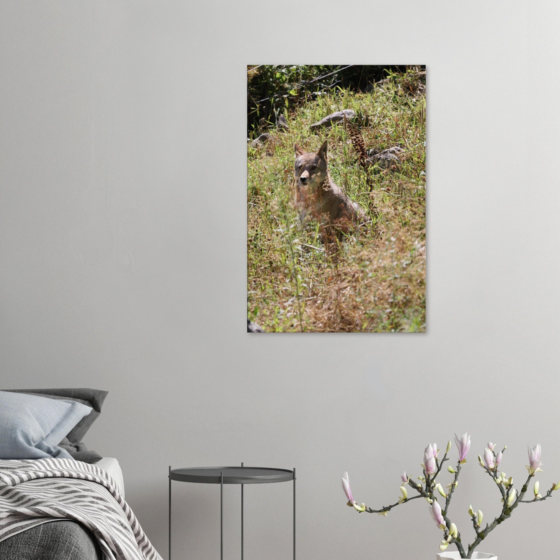 3d4ae968-5b53-419b-9351-8c755d4455fe