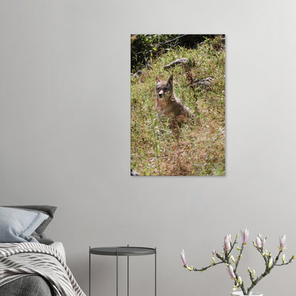 3d4ae968-5b53-419b-9351-8c755d4455fe