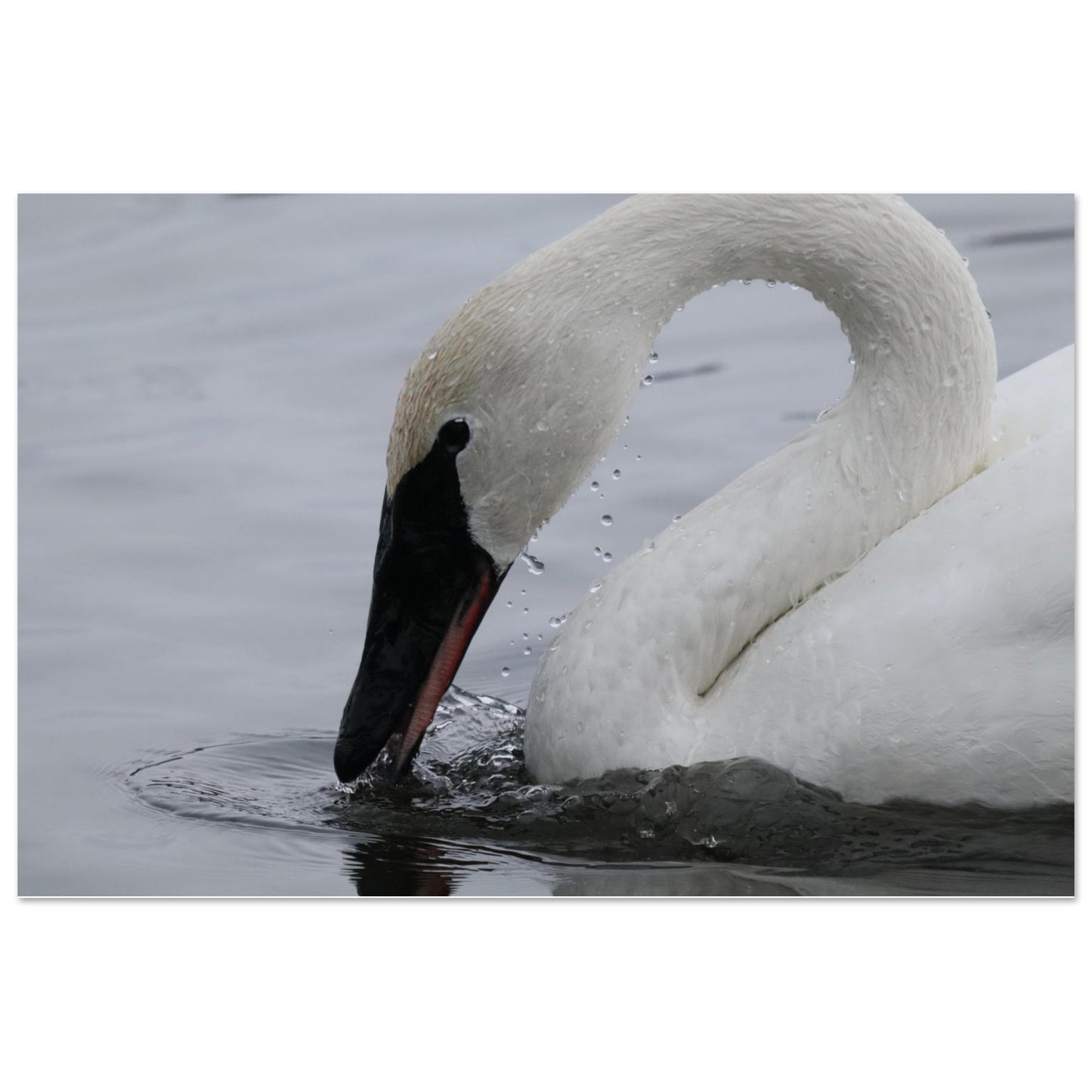 3d51c0f3-8607-4250-8ddd-fd93e9c17faf