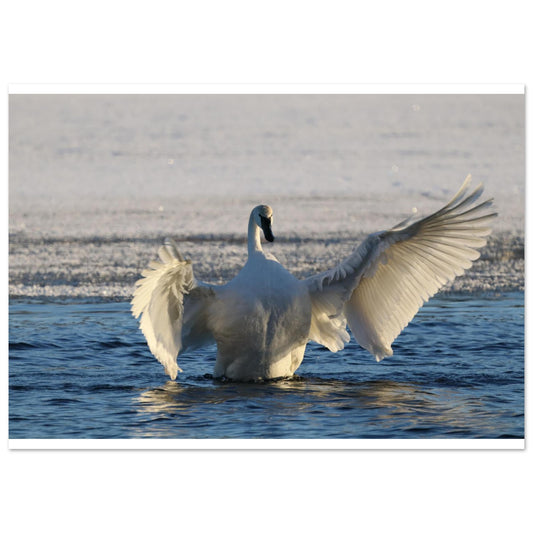 3d622579-a62a-43cd-b311-5d1108d31f75