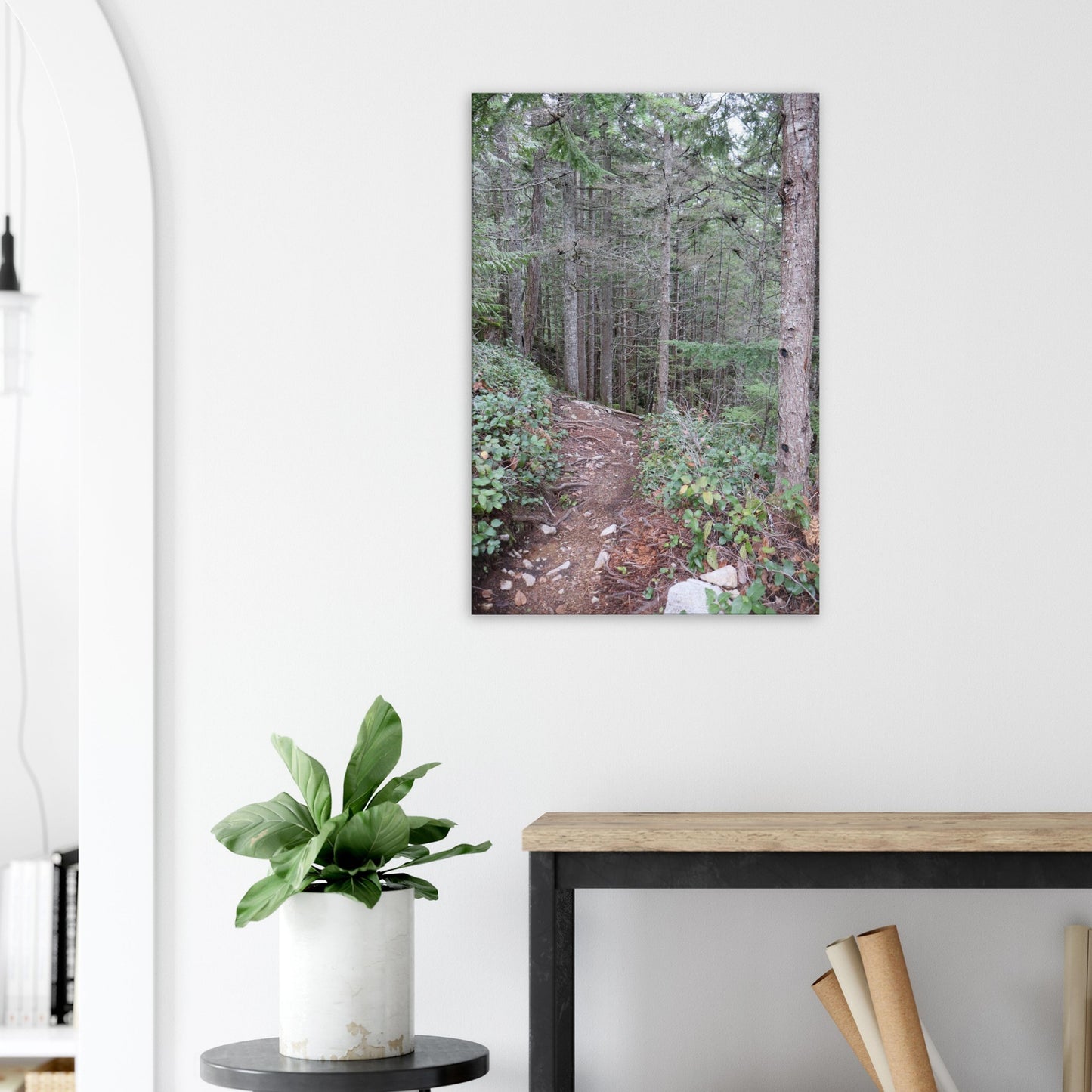 3da90ede-735d-4e3c-ba2e-230fa82f7e13