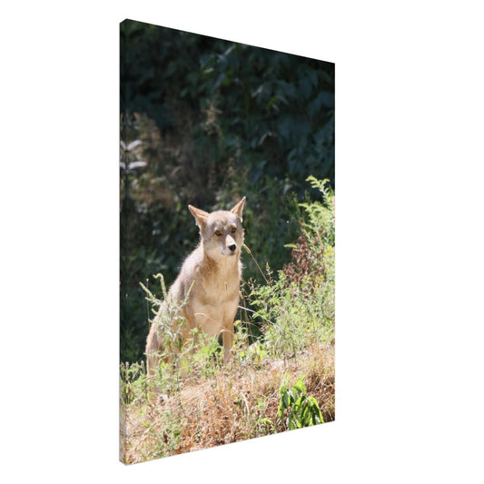 3df8a88f-1299-4e0f-85fe-e17528104136