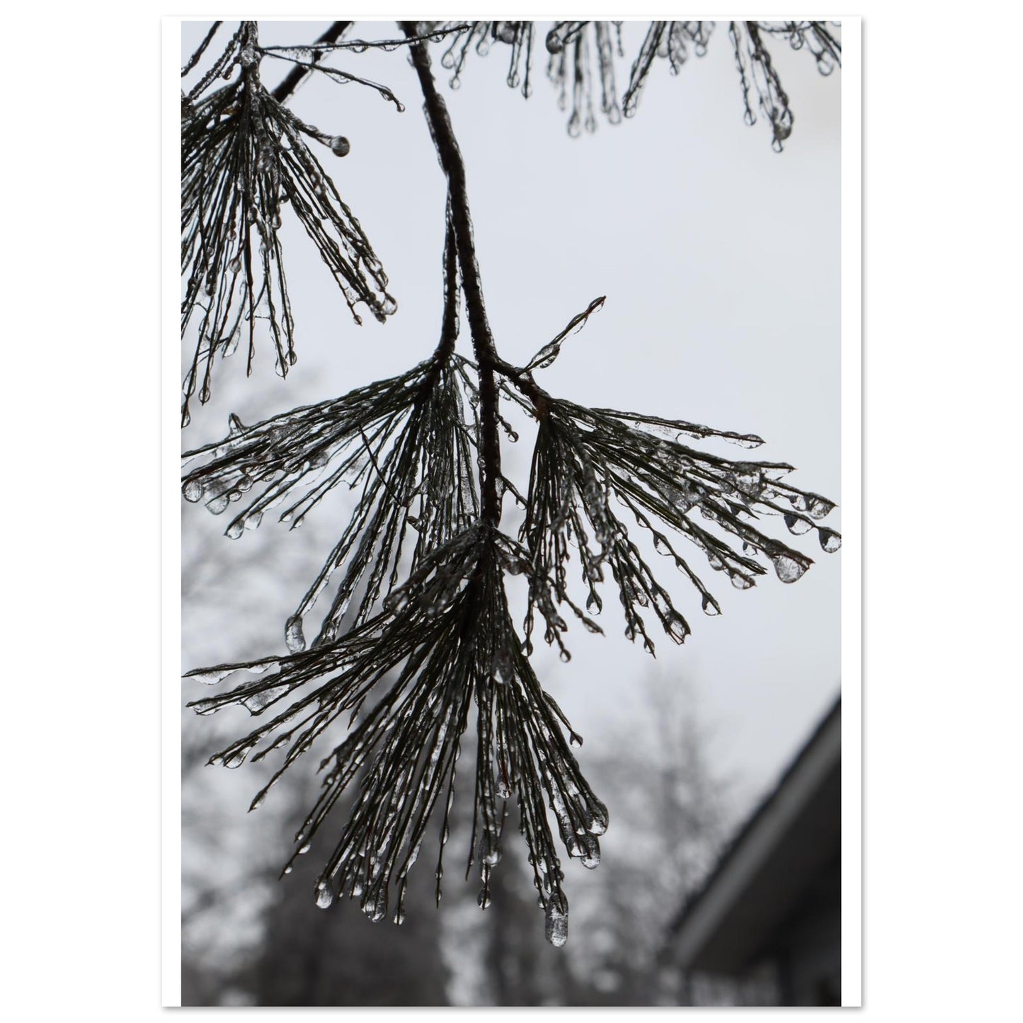 3e991643-5088-49f3-ae1c-31cf10947266