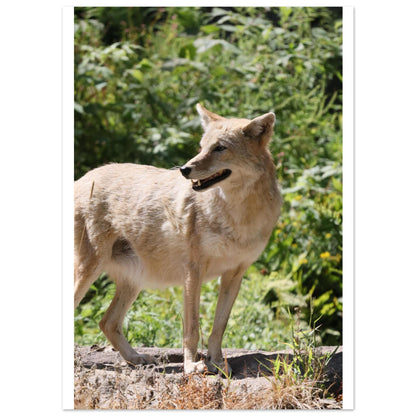 3f104bdc-8ef9-4cb5-a886-5626a81f9d9a