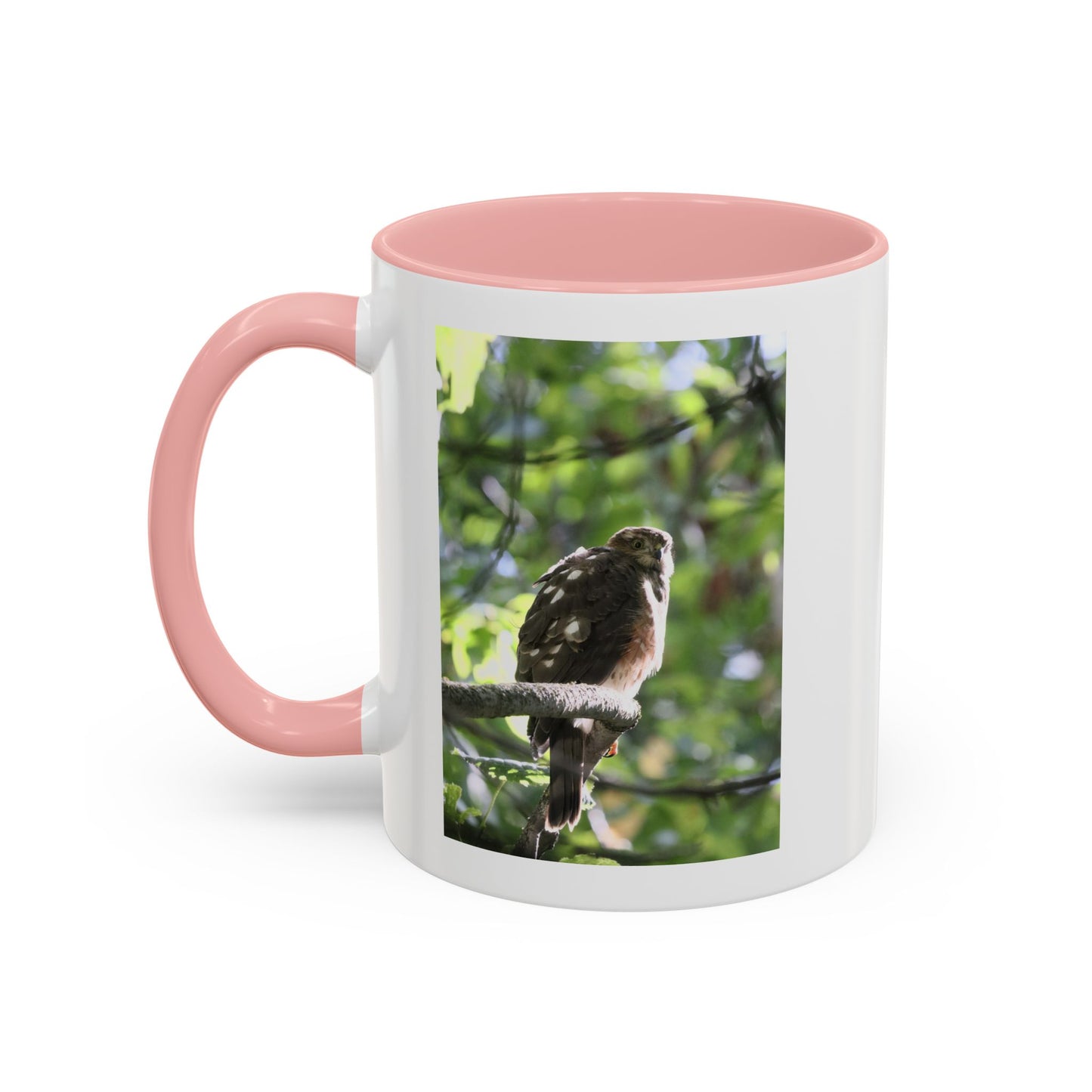 Hawk Perch Accent Coffee Mug (11/15 oz) – Nature Bird Photography