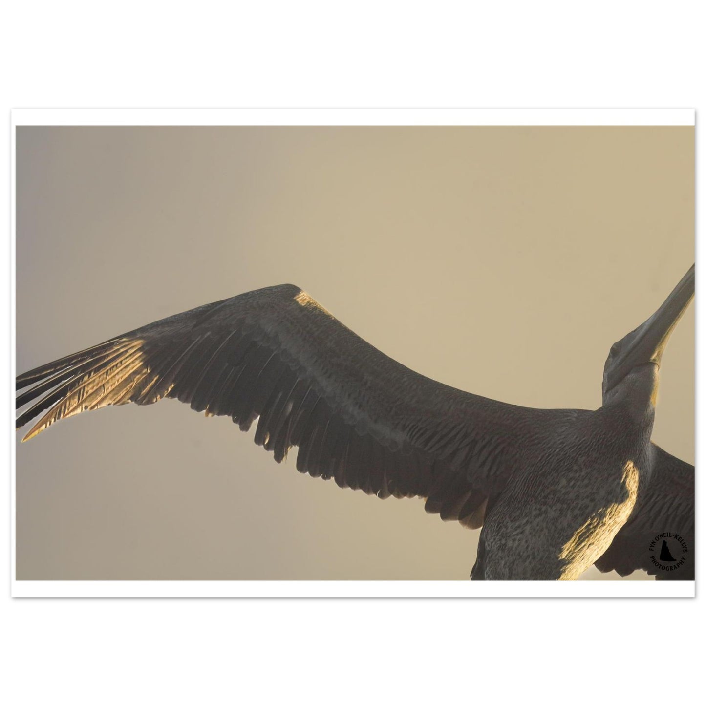 402ba91c-b895-46d4-8fe8-a0631f9d779b
