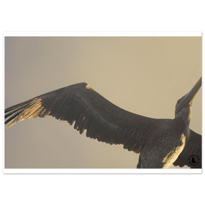402ba91c-b895-46d4-8fe8-a0631f9d779b