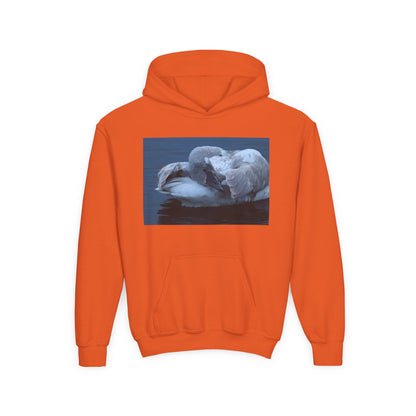 Youth Hoodie with Sleeping Swan Photo — Cozy Wildlife Sweatshirt