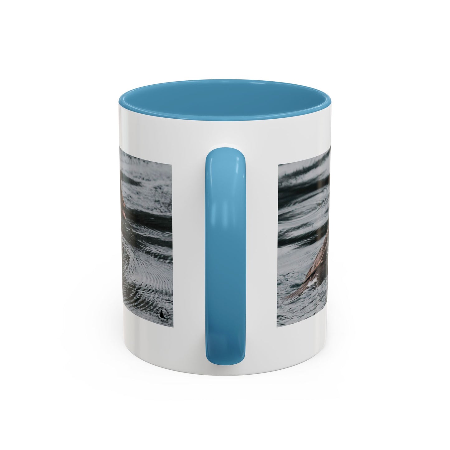 Goldeneye Duck Photo Accent Coffee Mug — Wildlife Nature Lover Gift (11/15 oz)