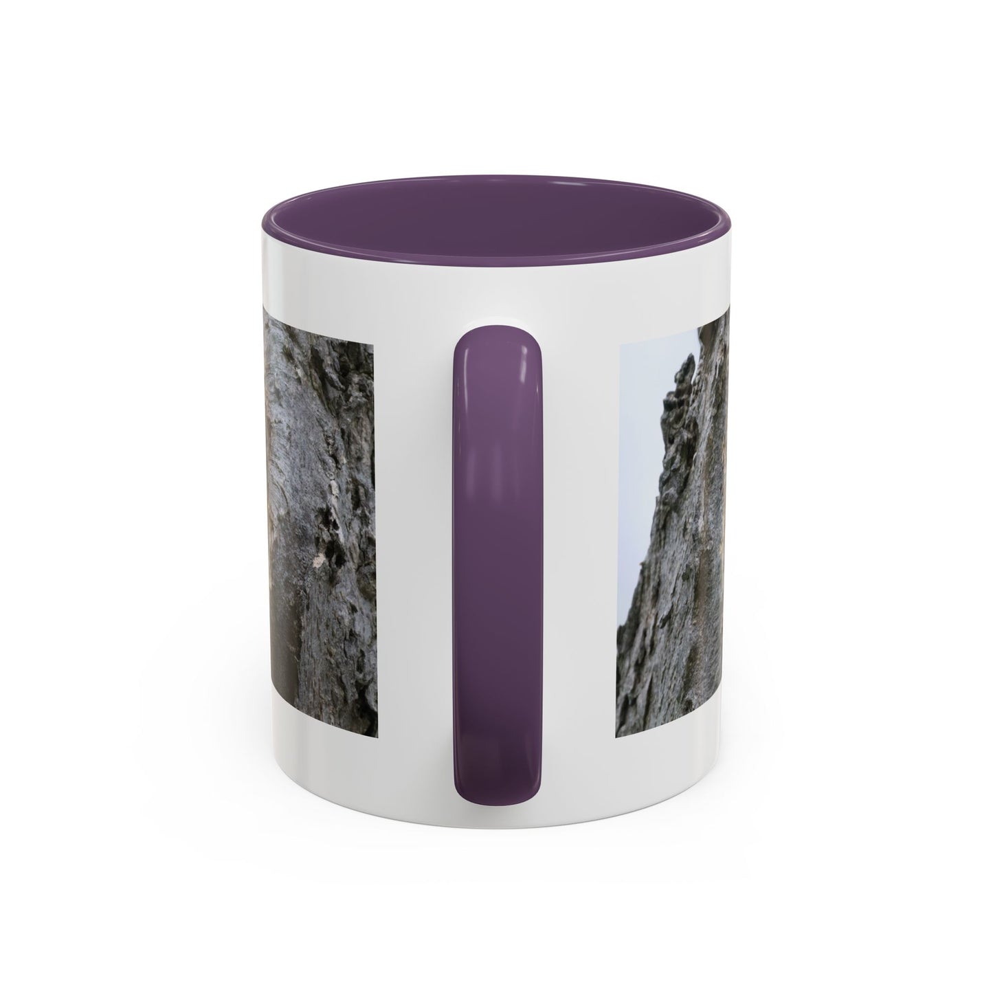 Bluebird in Tree Cavity Accent Coffee Mug — Nature Wildlife Ceramic Mug (11/15oz)