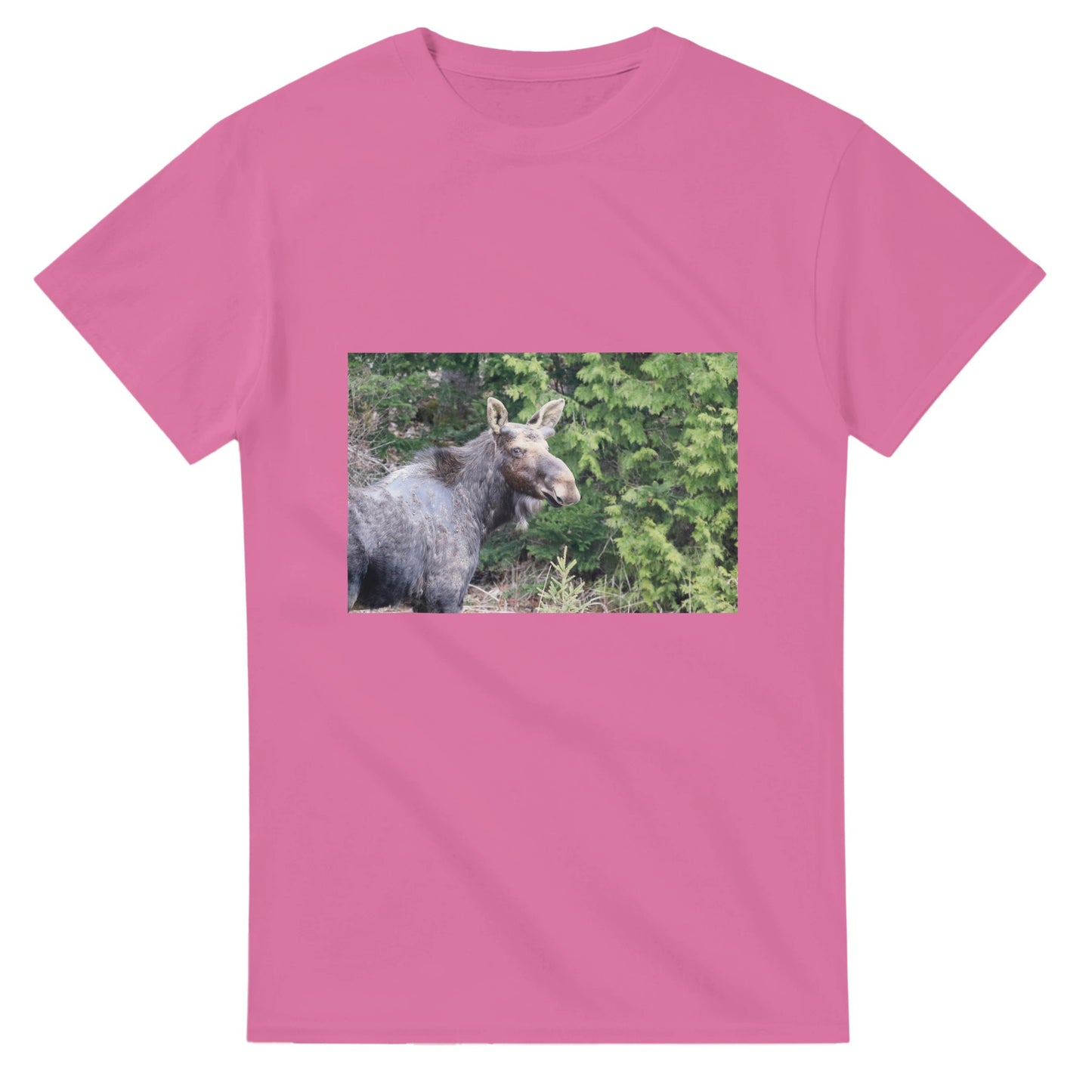 407f7aac-ec91-4d8f-a6a1-57a344348937