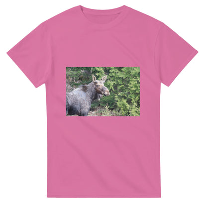 407f7aac-ec91-4d8f-a6a1-57a344348937