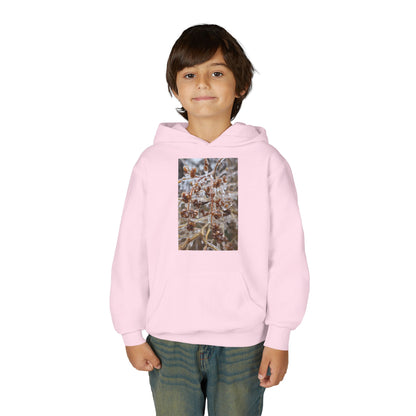 Youth Hoodie — Frosted Winter Berries Photo Print
