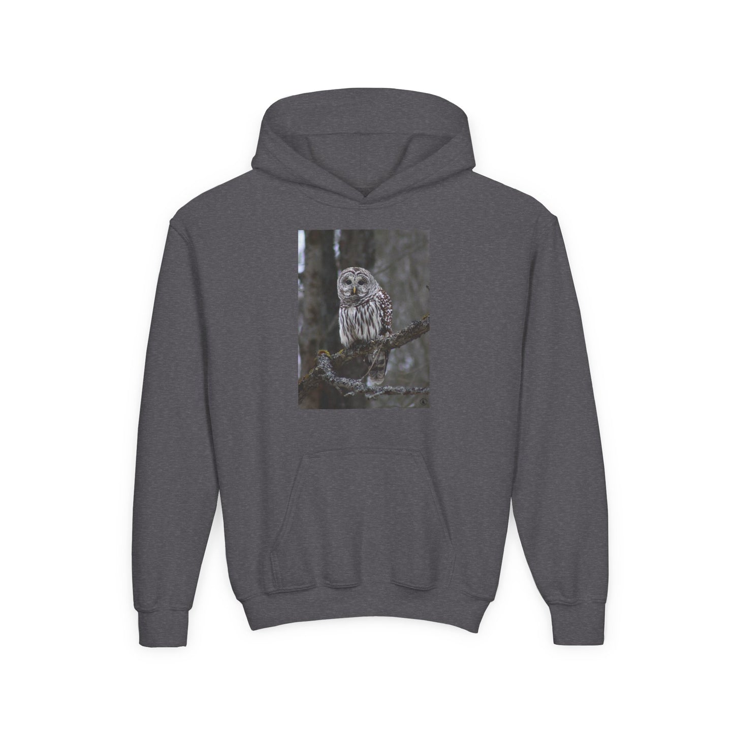 Owl Portrait Youth Hoodie — Realistic Forest Owl Graphic