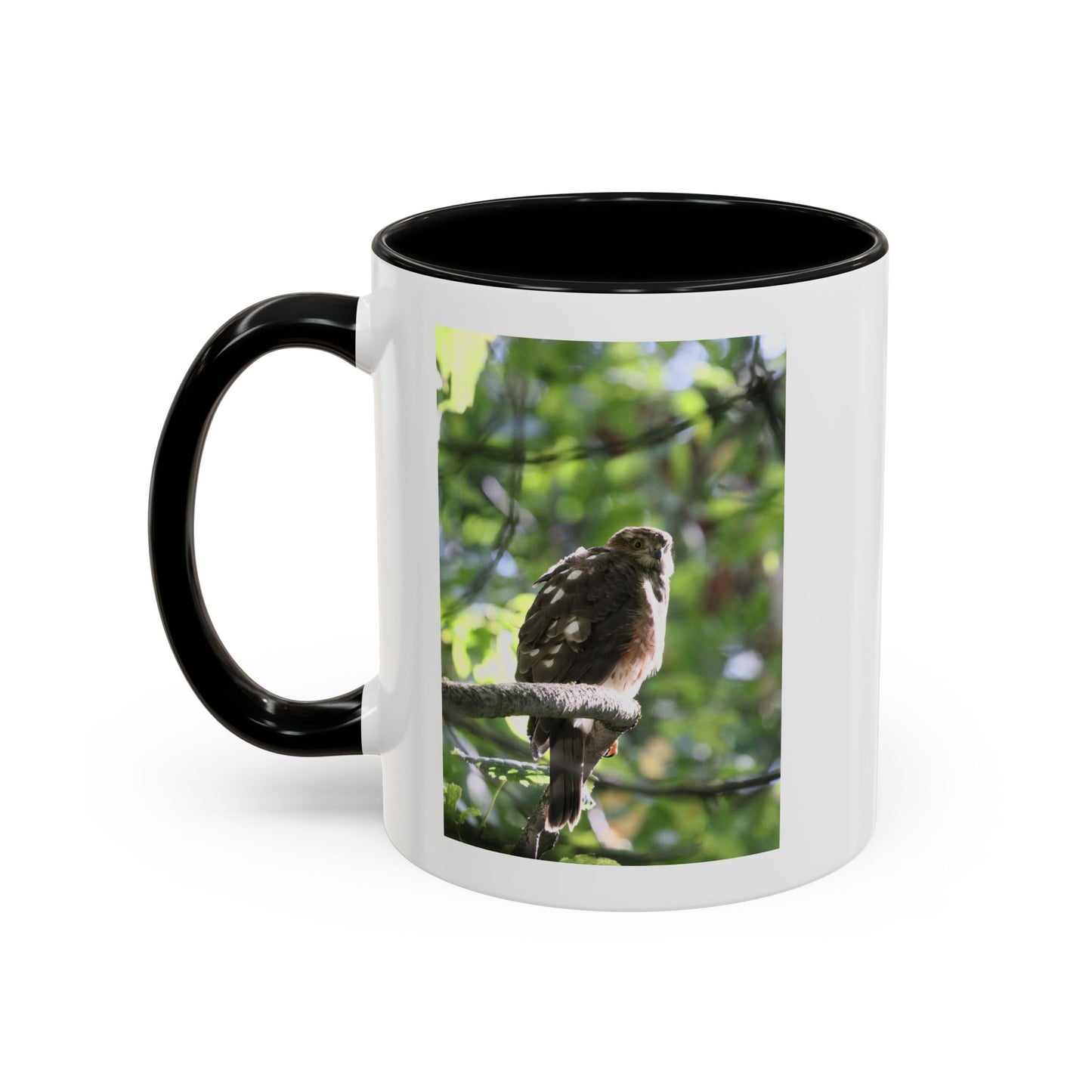 Hawk Perch Accent Coffee Mug (11/15 oz) – Nature Bird Photography