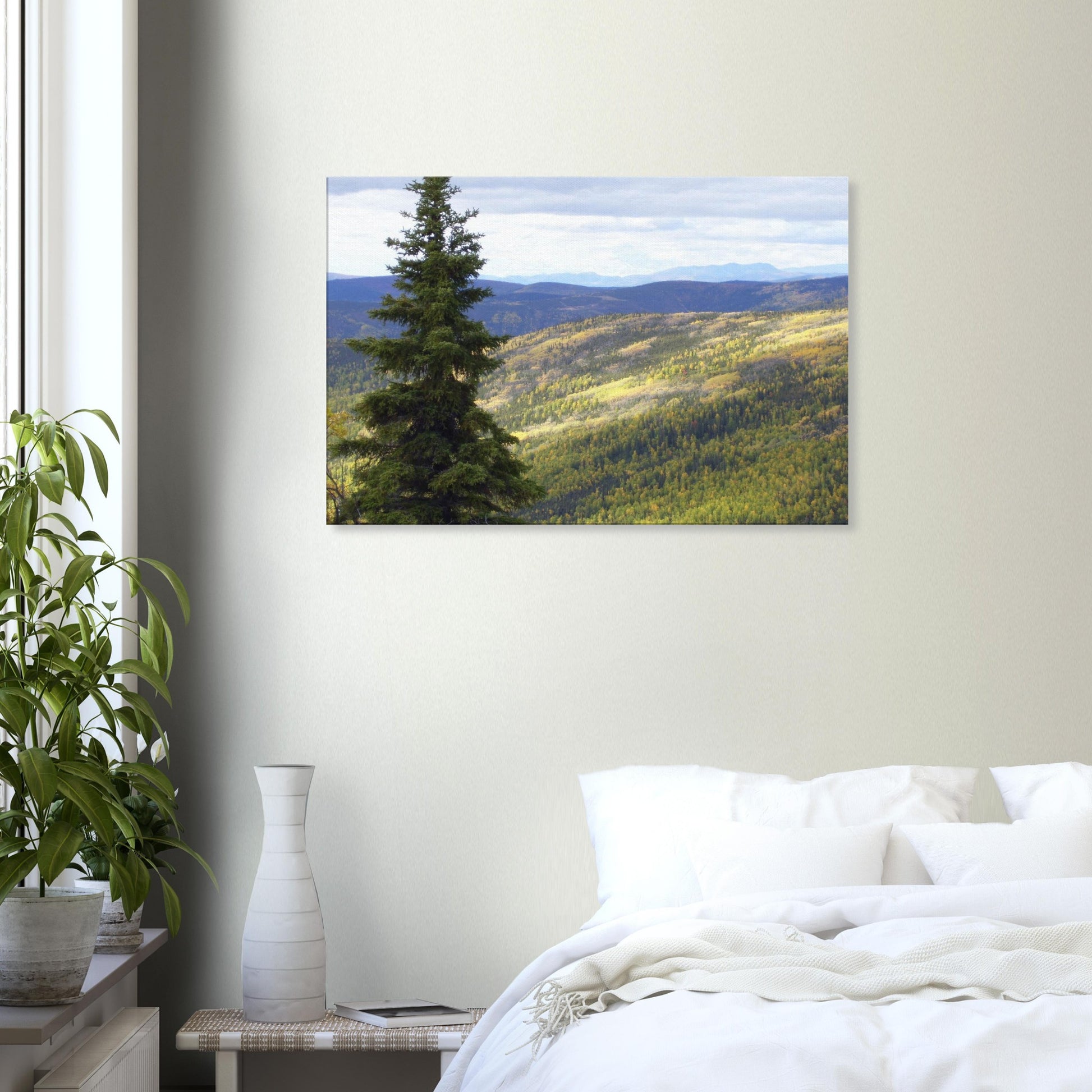 410643ab-95a5-4c28-a726-2cc1c304b521