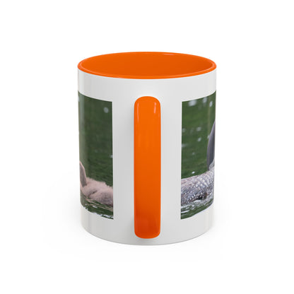 Loon Family Accent Coffee Mug – Wildlife Photo Tea Mug (11/15 oz)