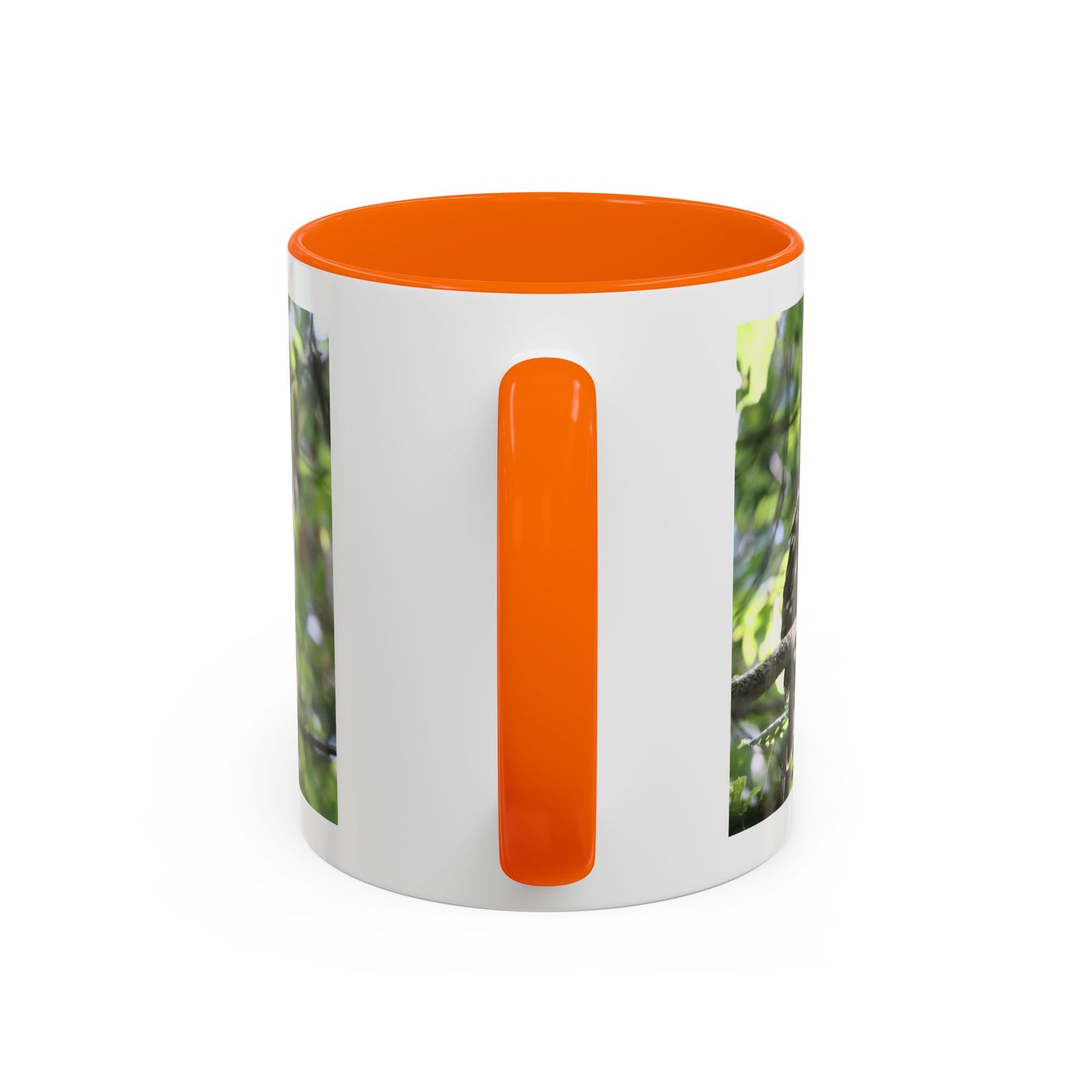 Hawk Perch Accent Coffee Mug (11/15 oz) – Nature Bird Photography