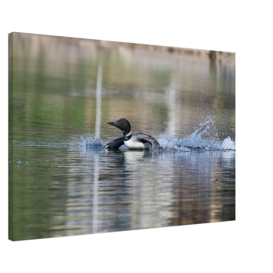 4137efff-902e-45fe-8949-22f2aa09ef62