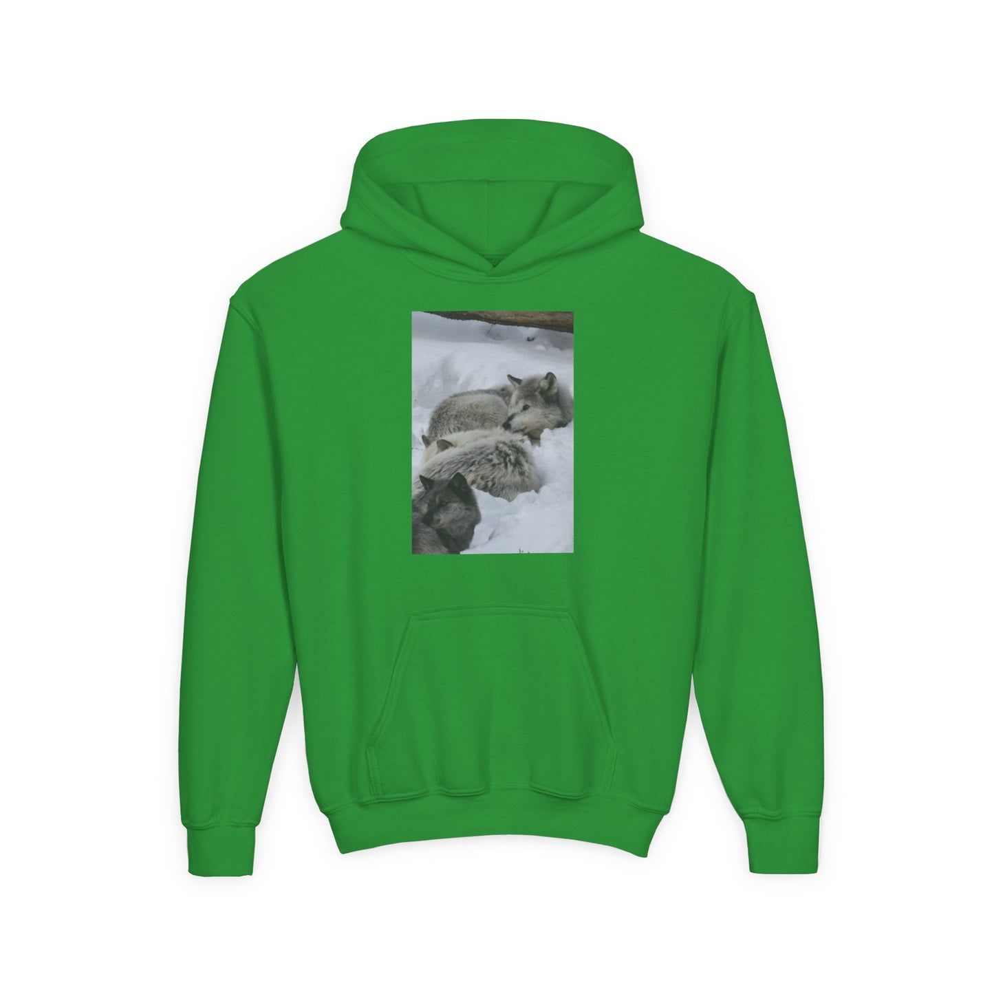 Sleeping Foxes Youth Hoodie | Wildlife Photography, Snow Scene