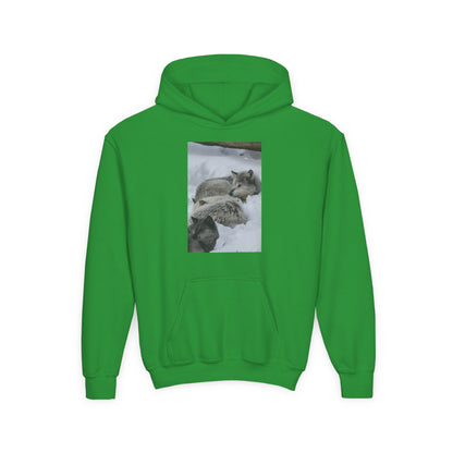 Sleeping Foxes Youth Hoodie | Wildlife Photography, Snow Scene