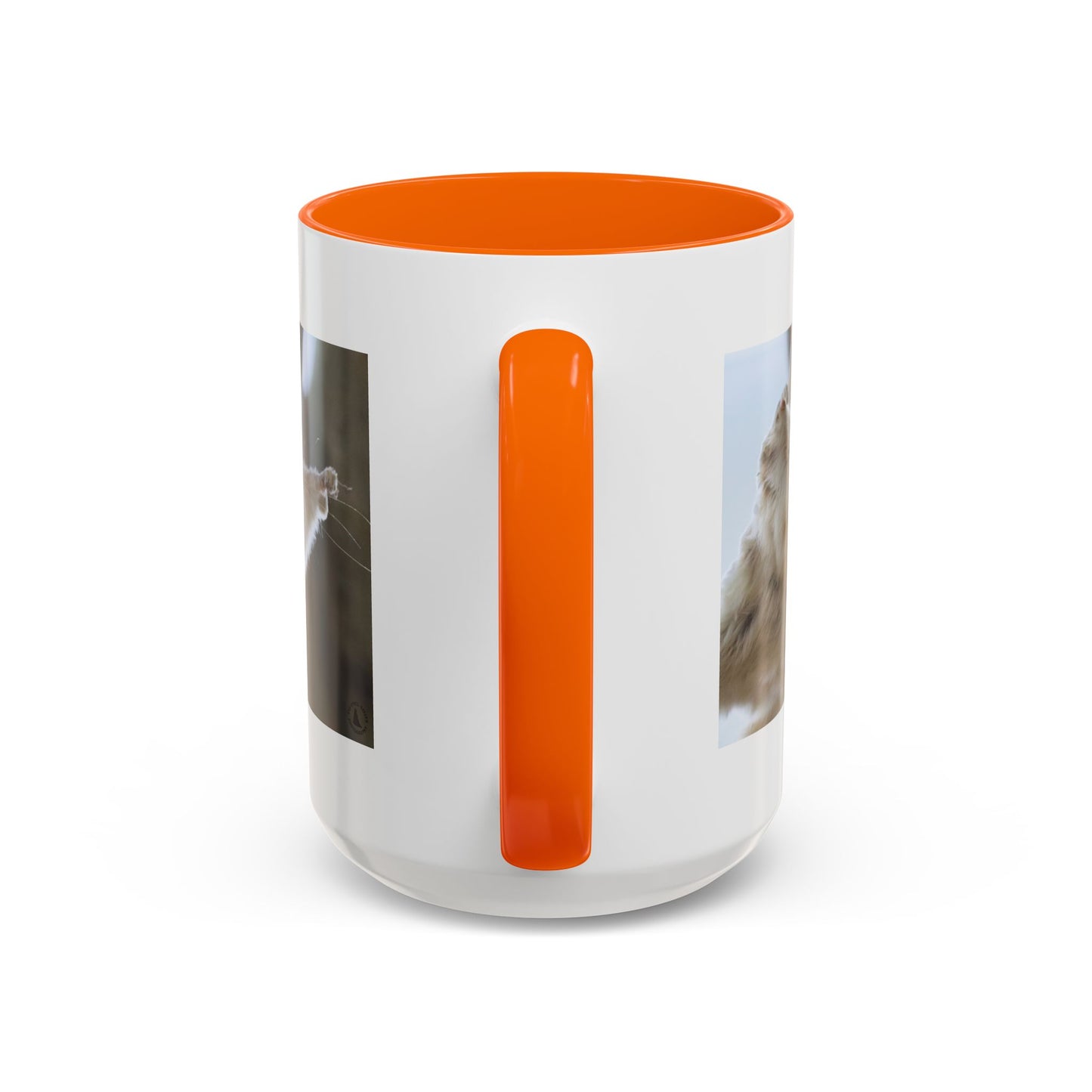 Flying Squirrel Accent Coffee Mug — Cute Wildlife Photo Mug (11/15oz)
