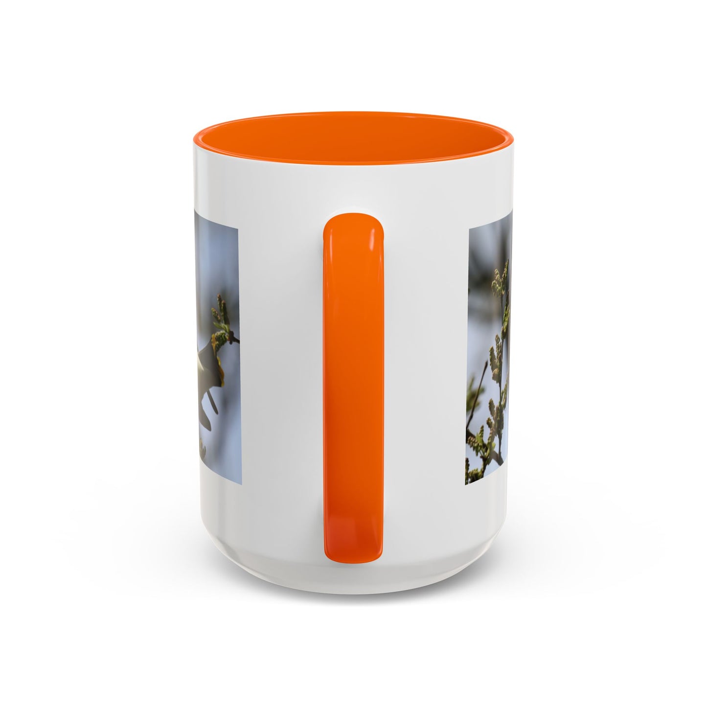 Cedar Waxwing Bird Photo Accent Coffee Mug