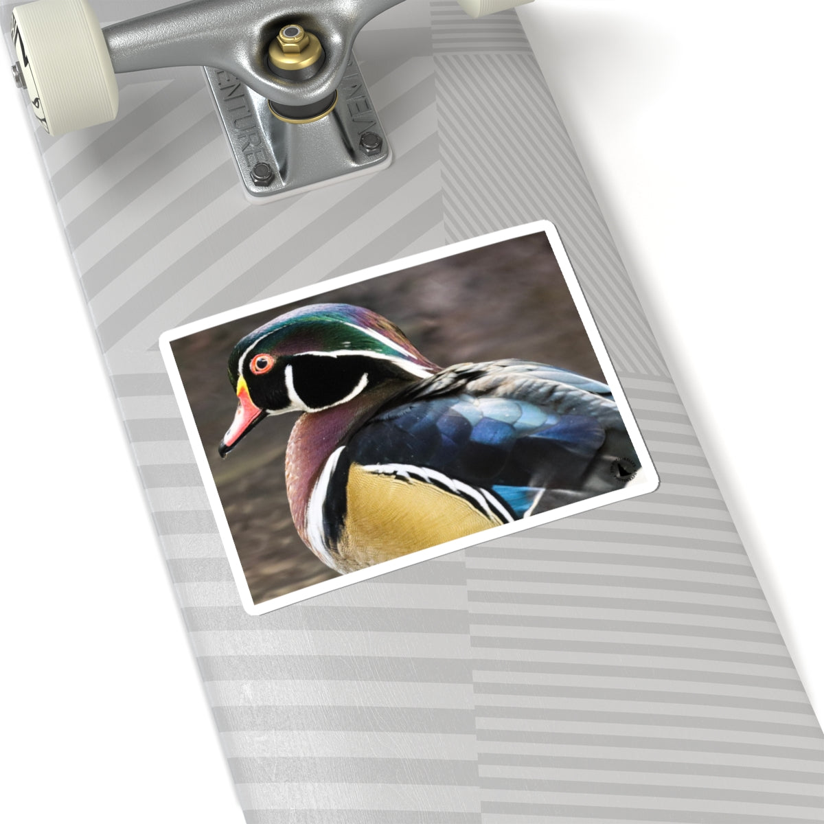 Wood Duck Kiss-Cut Sticker — Colorful Waterfowl Vinyl Decal for Laptop, Water Bottle, Planner